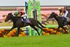 Museum Mile wins the 2025 Satsuki Sho at Nakayama Race Course
ridden by Joao Moreira, trained by Daisuke Takayanagi, and owned by Sunday Racing