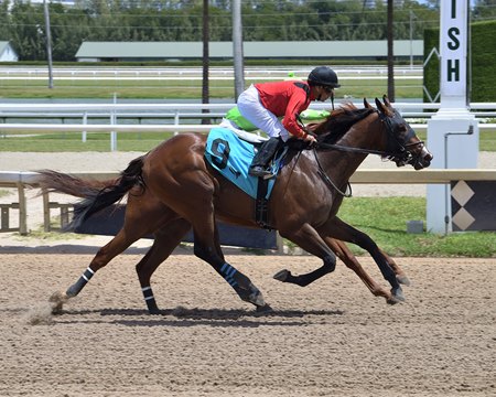 Squire (red silks) edges an obscured Beers On Me in a maiden race at Gulfstream Park