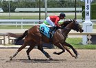 Squire, Maiden Win, Gulfstream Park, April 18 2025