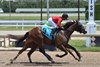 Squire, Maiden Win, Gulfstream Park, April 18 2025