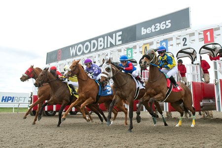 Racing at Woodbine