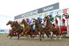 Thoroughbred&#39;s break from the starting gate 1st race of the 128 day meet.Winner #1 Bob and Jules under jockey Brooke Bays capture the 1st race.Woodbine/ Michael Burns Photo