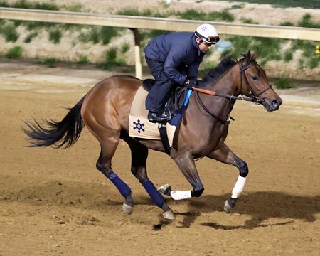 Drexel Hill trains at Churchill Downs