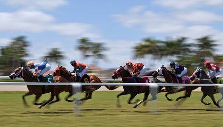 Racing at Gulfstream Park