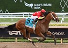 Tappan Street wins the 2025 Florida Derby at Gulfstream Park