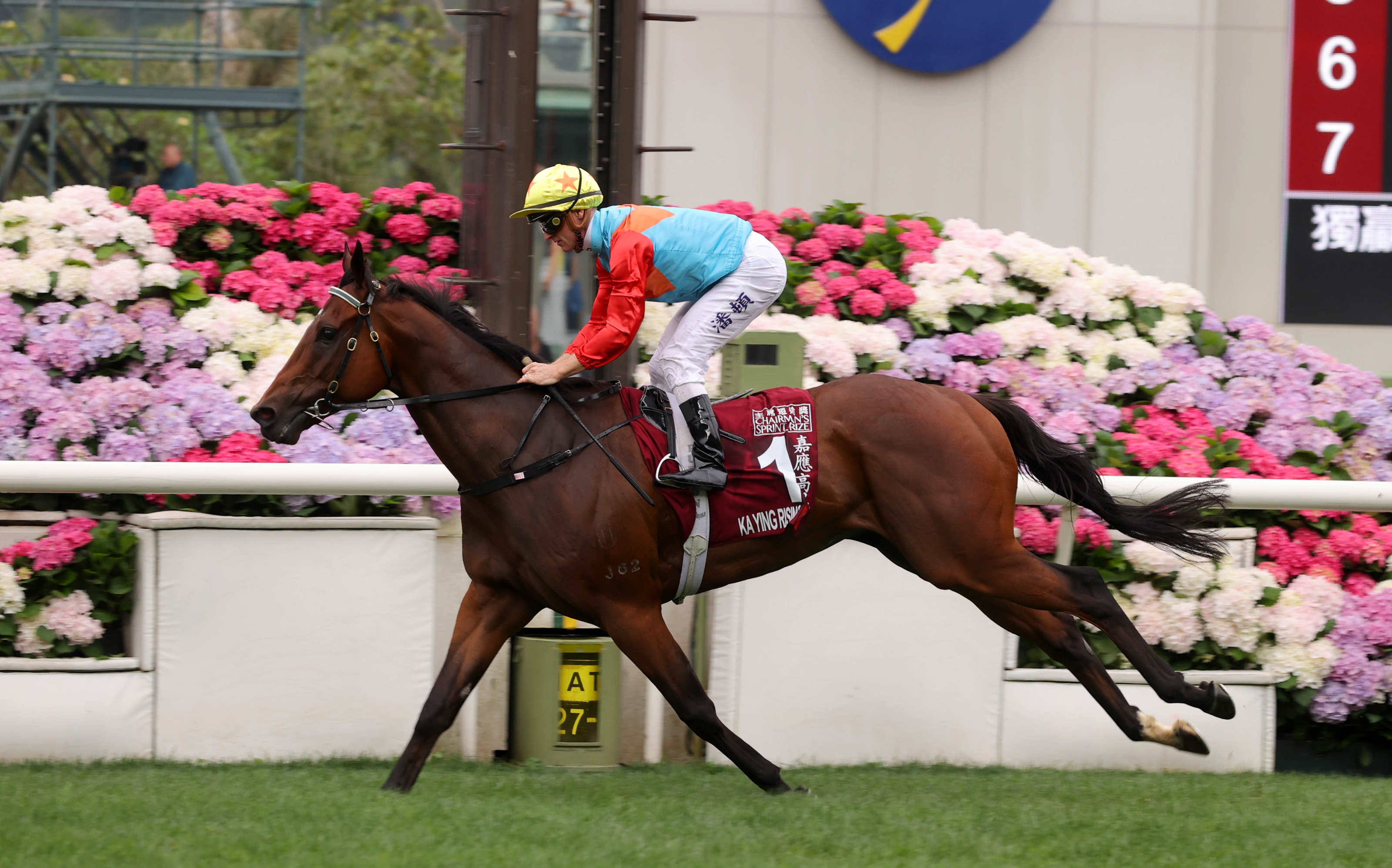 Ka Ying Rising Stars on Hong Kong Champions Day - BloodHorse