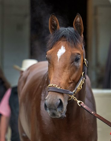 Southwest Stakes 2025 Results 