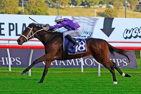 Aeliana wins the 2025 Australian Derby at Randwick Racecourse