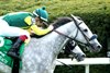 Utah Beach wins the 2025 Elkhorn Stakes at Keeneland