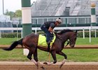 Flying Mohawk on the track at Churchill Downs on April 29, 2025. Photo By: Chad B. Harmon