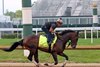 Flying Mohawk on the track at Churchill Downs on April 29, 2025. Photo By: Chad B. Harmon