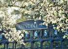 Keeneland training gate under the spring blooms 2023