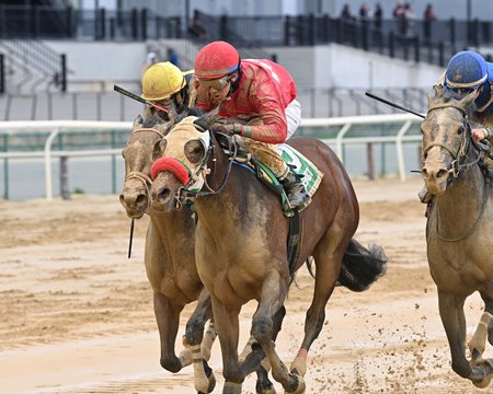 Racing at Aqueduct Racetrack