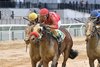 Storm Changer wins the 2025 New York Stallion Stakes, Park Avenue Division at Aqueduct Racetrack