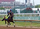 Neoequos on the track at Churchill Downs on April 29, 2025. Photo By: Chad B. Harmon