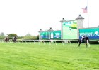 Forever After All - The Bewitch Stakes - KEE - 042525