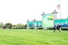 Forever After All - The Bewitch Stakes - KEE - 042525