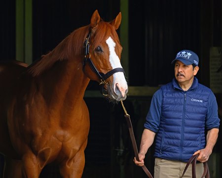 Justify at Ashford Stud