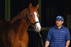 Justify
Media day at Ashford Stud with stallion showings and Adrian Mansergh-Wallace answering media questions near Versailles, Ky., on April 22, 2025, in Lexington, Ky. 