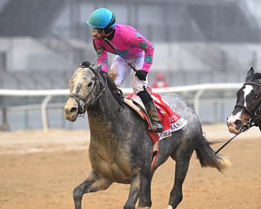 Crazy Mason - Horse Profile - BloodHorse