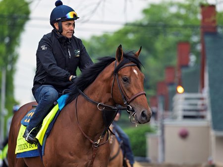 Citizen Bull prior to the Kentucky Derby at Churchill Downs