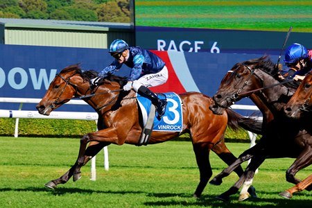 Vinrock wins the 2025 Inglis Sires Stakes at Royal Randwick