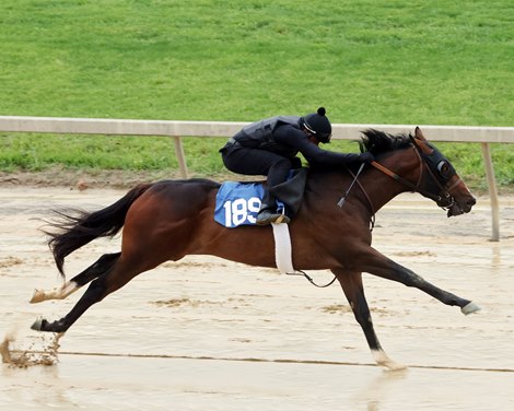 Southwest Stakes 2025 Results 