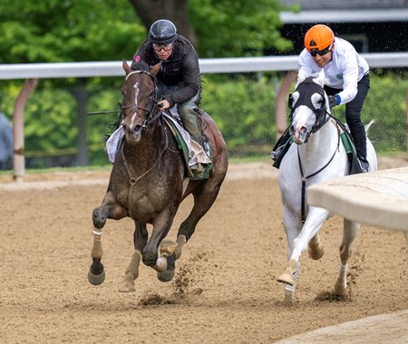 Sovereignty (outside) works with Arthur's Ride May 24 over the Oklahoma training track at Saratoga Race Course