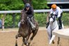 Sovereignty, with exercise rider Neil Posnansky, works in tandem with Arthur’s Ride for trainer Billy Mott on Saturday, May 24, 2025 at the Oklahoma Training Track in Saratoga Springs, N.Y. Sovereignty covered 5f in 1:02.54 while Arthur&#39;s Ride finished in 1:02.94. Photo by Skip Dickstein