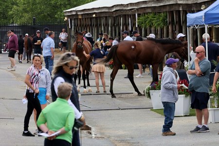 Horses being evaluated ahead of the Fasig-Tipton Midlantic 2-Year-Olds in Training Sale