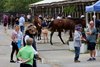 Scenics, 2025 Fasig-Tipton 2 Year-Olds in Training Sale, Timonium, MD