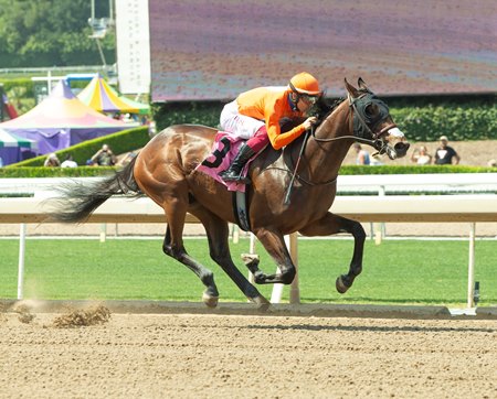 Saul Elliott, the first starter for sire Listing, wins his May 25 debut at Santa Anita Park