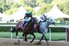SAUDI CROWN wins the 2025 Lake Ouachita Stakes at Oaklawn Park