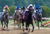 Echo Sound with jockey Luis Saez takes the win in the 40th running of The Miss Preakness Stakes GIII at Pimlico Race Track Friday  May 16, 2025 in Baltimore, MD..   Photo by Skip Dickstein