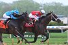 Bishops Bay wins the 2025 Westchester Stakes at Aqueduct