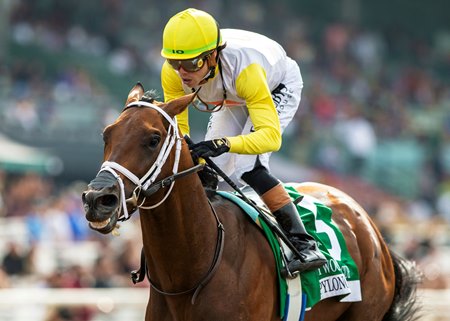 Skippylongstocking wins the Hollywood Gold Cup at Santa Anita Park