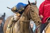 Sovereignty and Junior Alvarado, Race 12, Kentucky Derby, Churchill Downs, Louisville, KY, May 3, 2025, Mathea Kelley-Bloodhorse