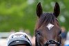 Ruling Court (William Buick) after the 2000 Guineas
Newmarket 3.5.25 Pic: Edward Whitaker