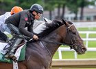 Sovereignty, with exercise rider Neil Posnansky, works in tandem with Arthur’s Ride for trainer Billy Mott on Saturday, May 24, 2025 at the Oklahoma Training Track in Saratoga Springs, N.Y. Sovereignty covered 5f in 1:02.54 while Arthur&#39;s Ride finished in 1:02.94. Photo by Skip Dickstein