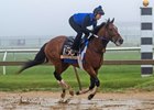 Clever Again, Pimlico Race Course, May 15 2025