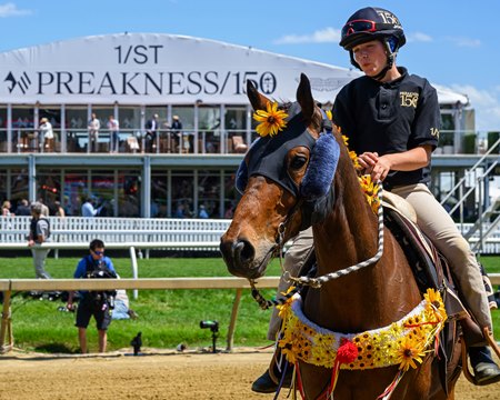 The Preakness Stakes will be contested on Sunday, May 23, in 2027