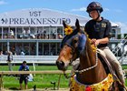 Scenes at Pimlico Race Course in Baltimore, Md., on May 17, 2025.