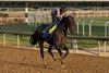 2025 Preakness Stakes contender Goal Oriented works a half-mile in :47 3/5 at Churchill Downs