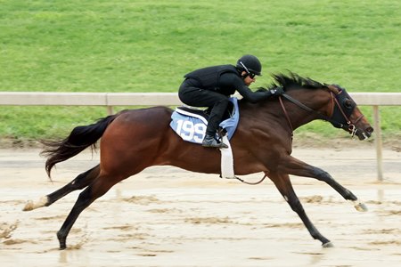 Hip 199 breezes at the 2025 Fasig-Tipton Midlantic under-tack show