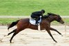 Hip 199, 1/8 in 10:1, 2025 Fasig-Tipton 2 Year-Olds in Training Sale, Timonium, MD