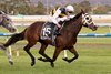SA Derby finish won by Femminile ridden by Lachlan Neindorf and trained by Phillip Stokes.