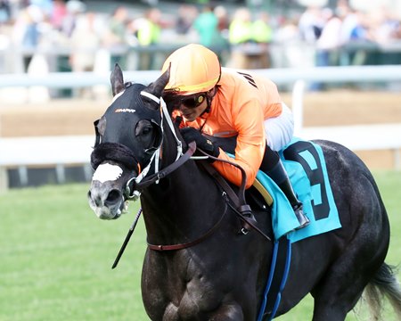 Shisospicy wins the Mamzelle Stakes at Churchill Downs