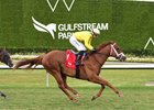Sandal&#39;s Song wins the 2025 Royal Palm Juvenile Stakes at Gulfstream Park