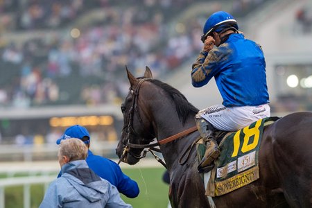 Sovereignty heads to the winner's circle after winning the Kentucky Derby at Churchill Downs