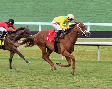 Sandal's Song wins the Royal Palm Juvenile Stakes at Gulfstream Park